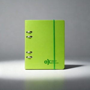 Editedimage_1768411214879